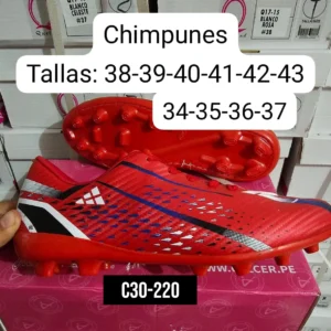 Zapatillas Hombre C30-220
