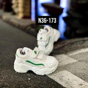N36-173