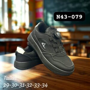 N43-079