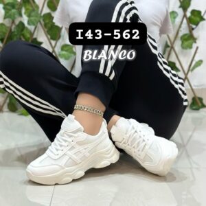 IMPORTADA CACY I43-562