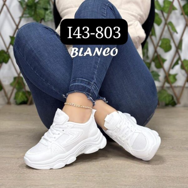 IMPORTADA CACY I43-803