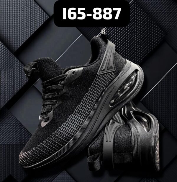 IMPORTADA LROX I65-887